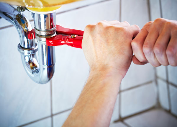 About Maximo Plumbers